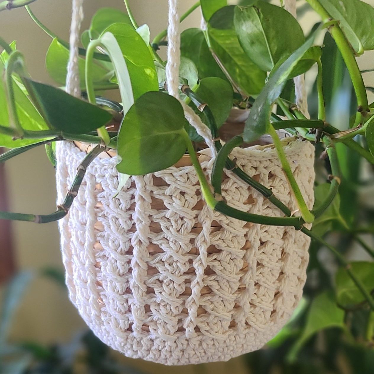 Crochet Plant Pot Holder Free Pattern