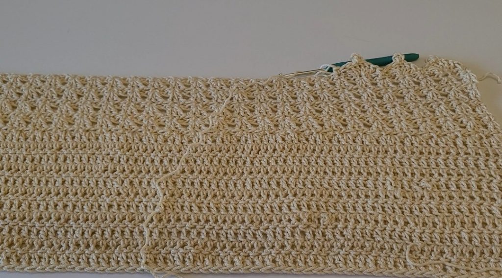 Zonia crochet crop top bottom border with decorative crochet edging