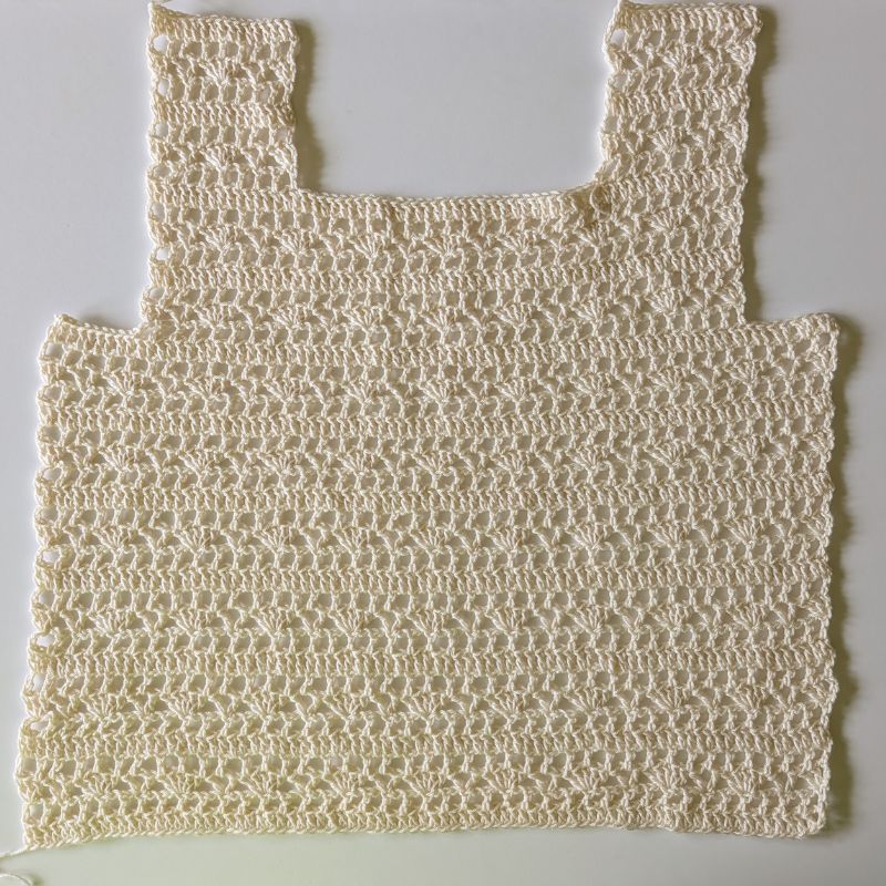 Back panel of the Aviana Crochet Lace Top laid flat before assembly.
